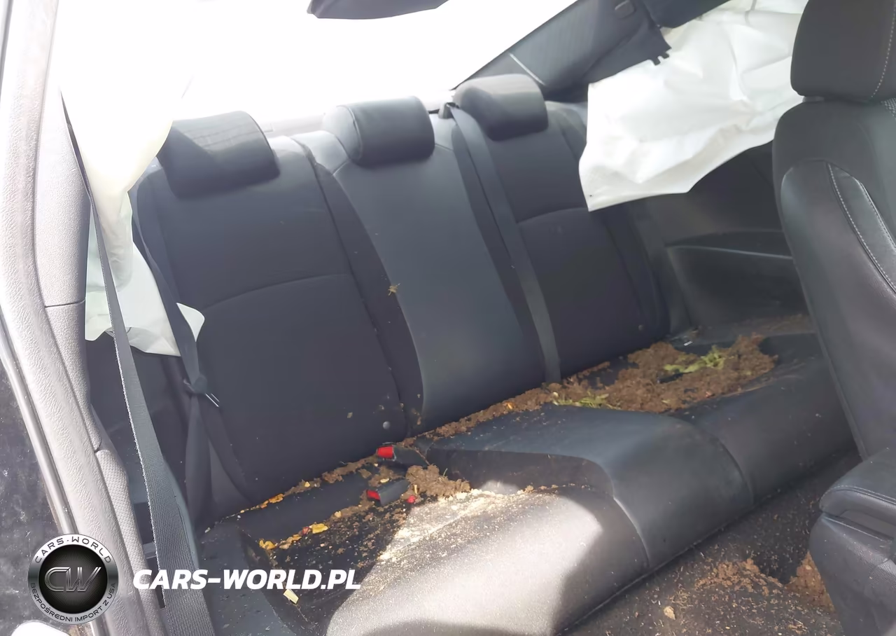 2019 Honda Civic Sport VIN:2HGFC4B88KH308061 - 8