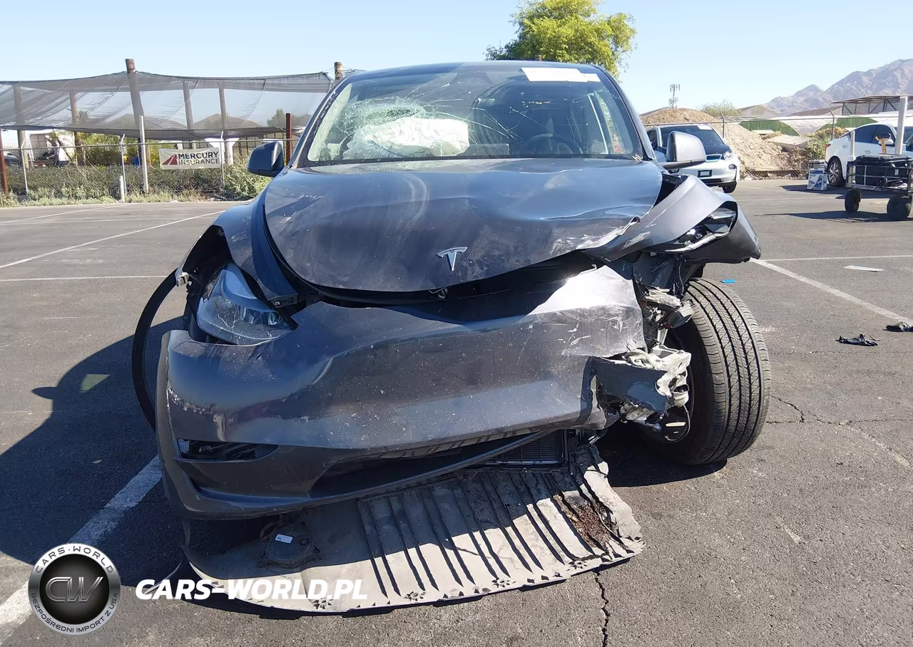 2023 Tesla Model Y Awd-Long Range Dual Motor All-Wheel Drive VIN:7SAYGDEE2PF923928 - 11