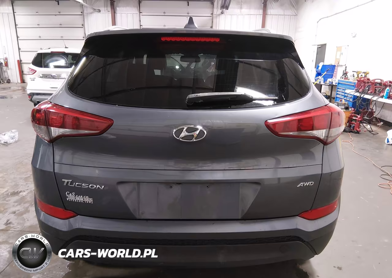 2018 Hyundai Tucson Sel Plus VIN:KM8J3CA41JU741021 - 16