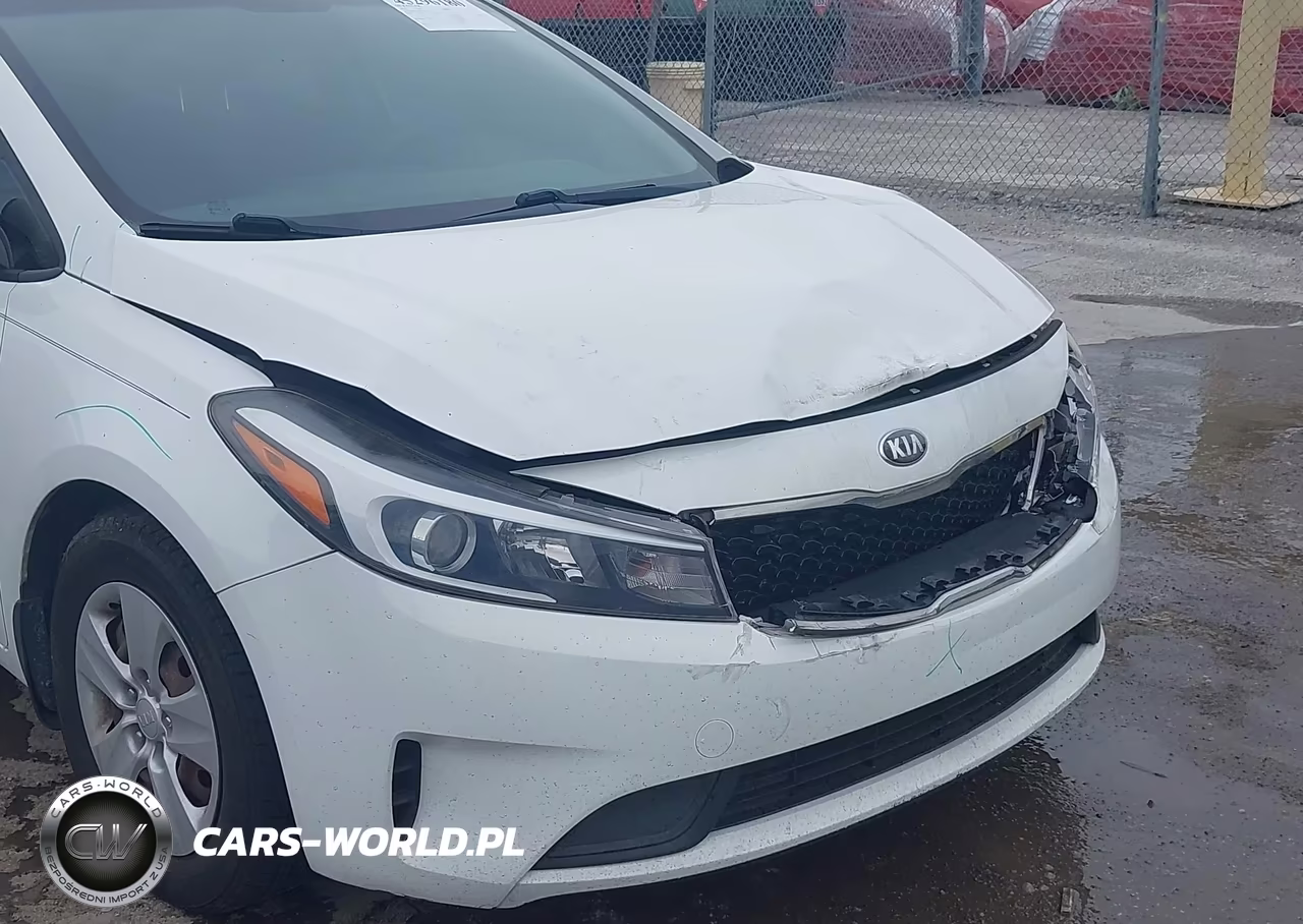 2018 Kia Forte Lx VIN:3KPFK4A77JE212667 - 18