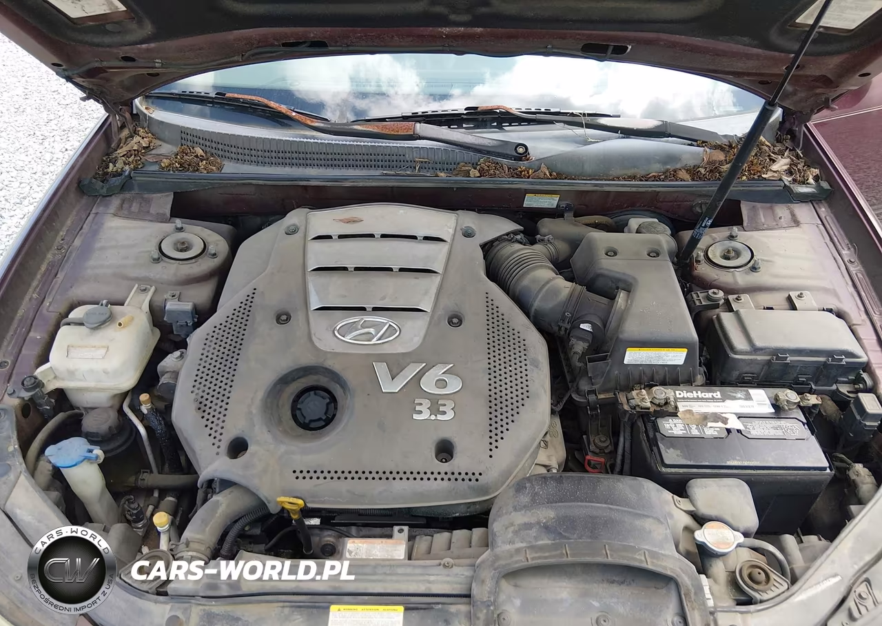 2007 Hyundai Sonata Limited-Se V6 VIN:5NPEU46F17H201383 - 10