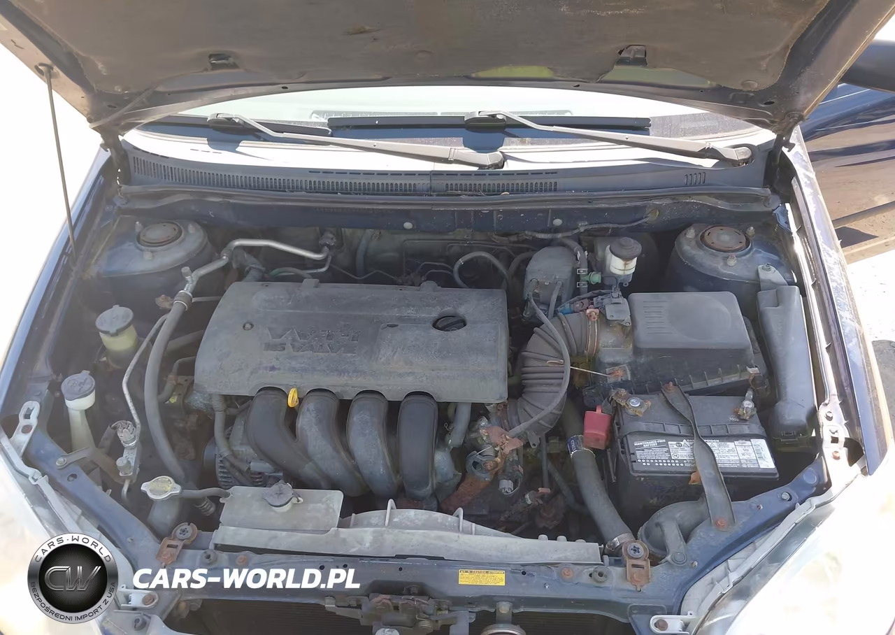 2004 Toyota Corolla Ce VIN:JTDBR32E340052754 - 10