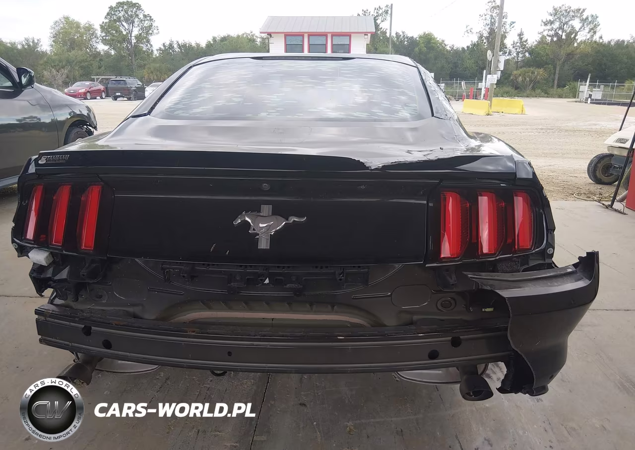 2017 Ford Mustang V6 VIN:1FA6P8AM8H5309175 - 17