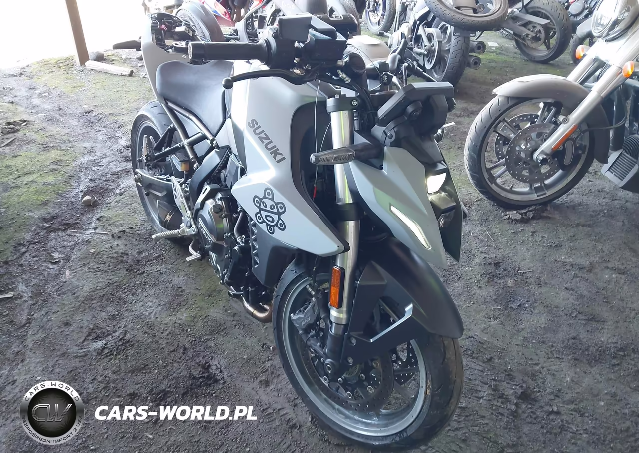 2024 Suzuki Gsx800 R