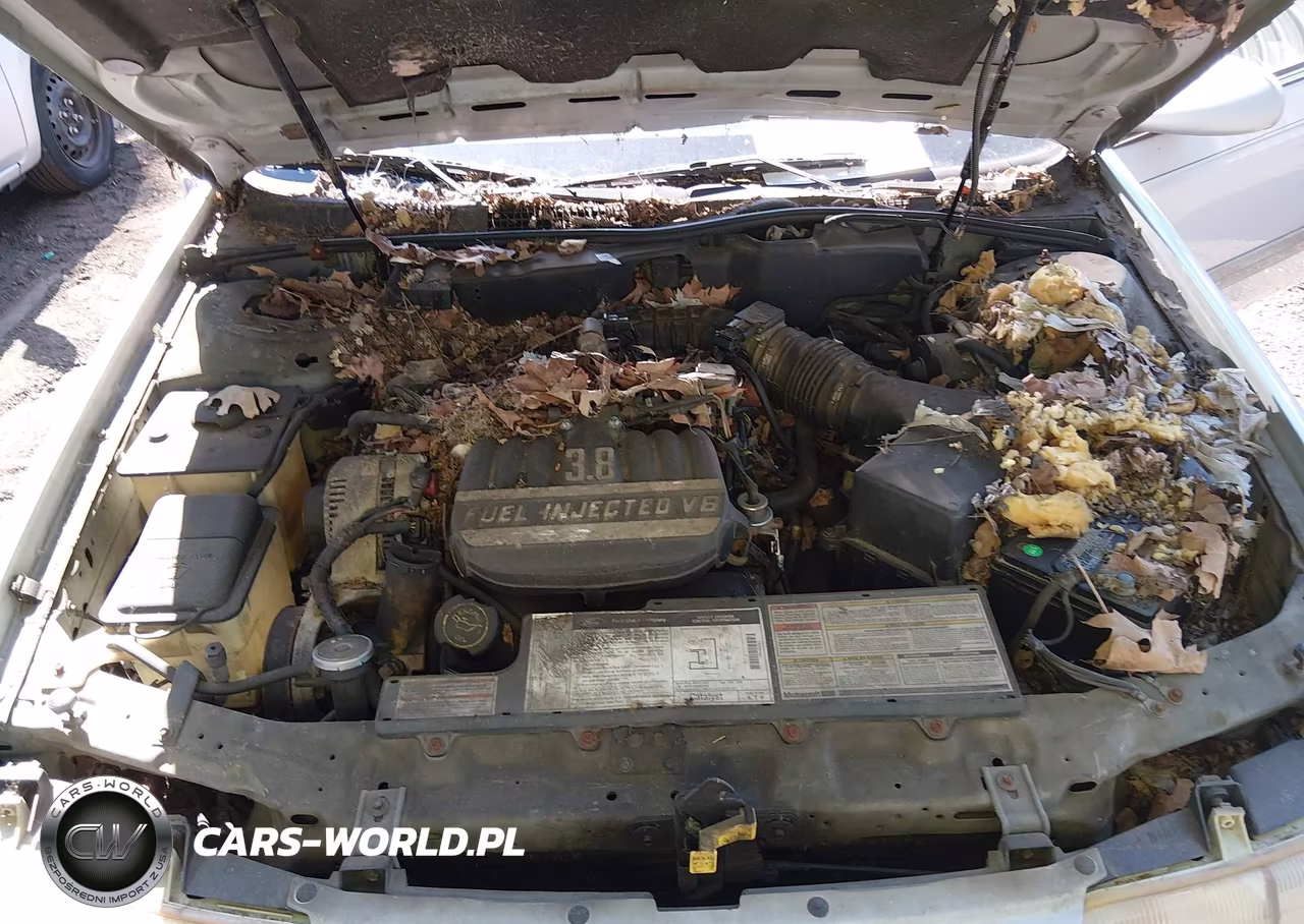 1994 Ford Taurus Gl VIN:1FALP5242RA290535 - 10