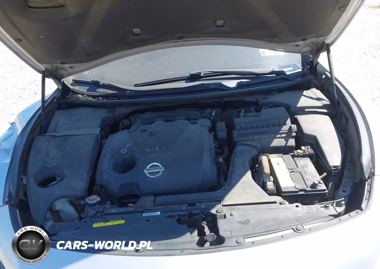 2009 Nissan Maxima 3.5 S VIN:1N4AA51E49C843340 - 10