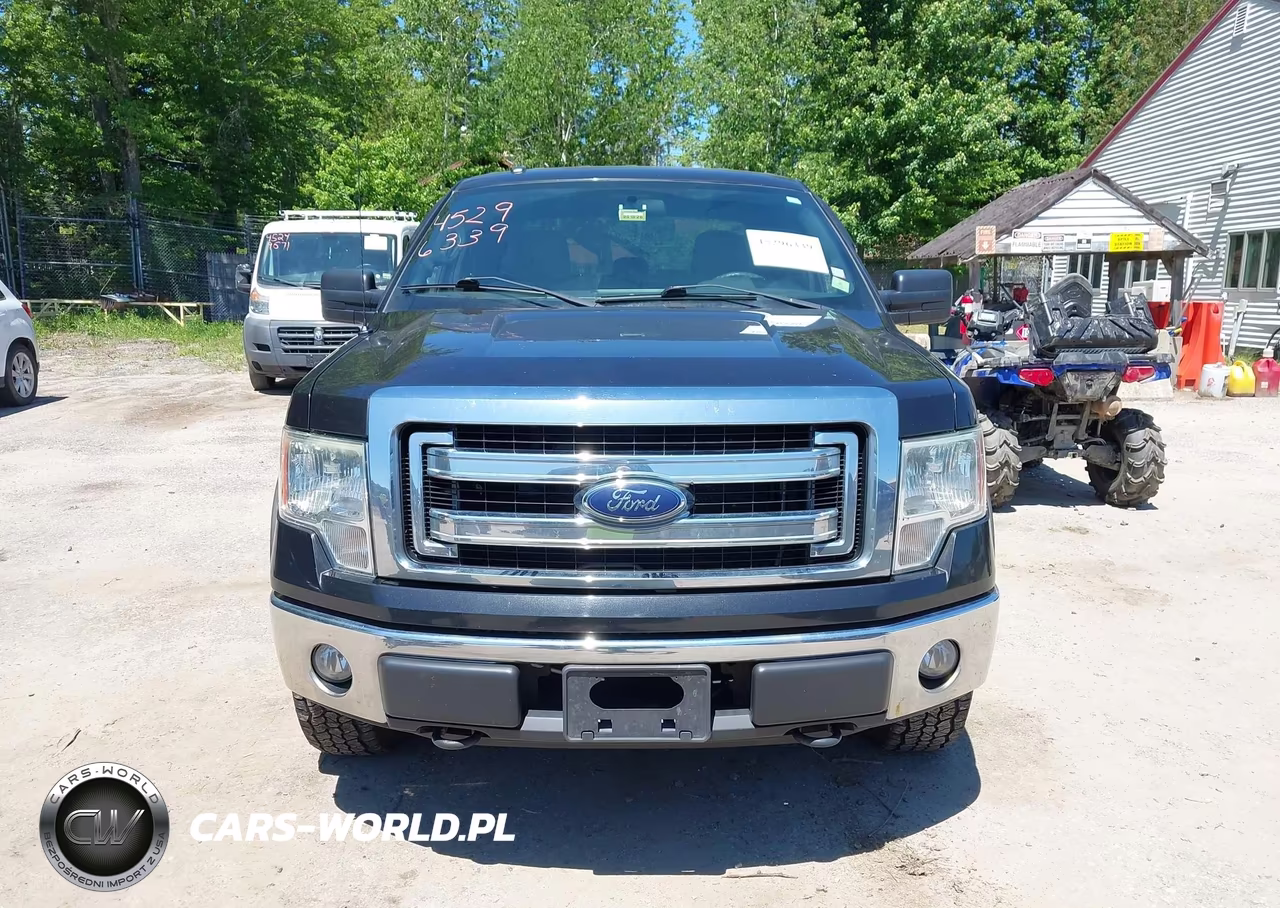 2014 Ford F-150 Xlt VIN:1FTFX1EF4EKF83077 - 12