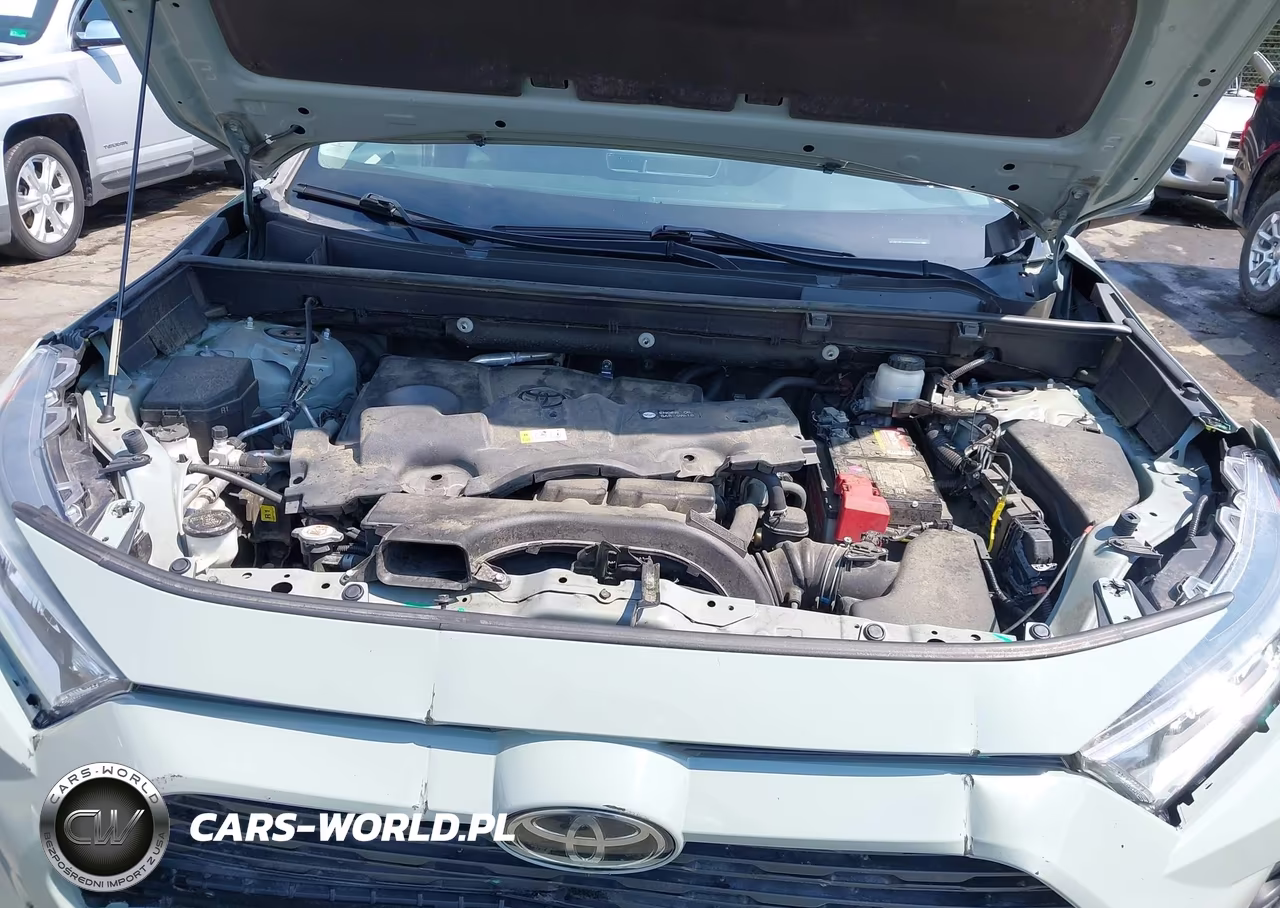 2020 Toyota Rav4 Xle VIN:2T3W1RFV2LW062725 - 10