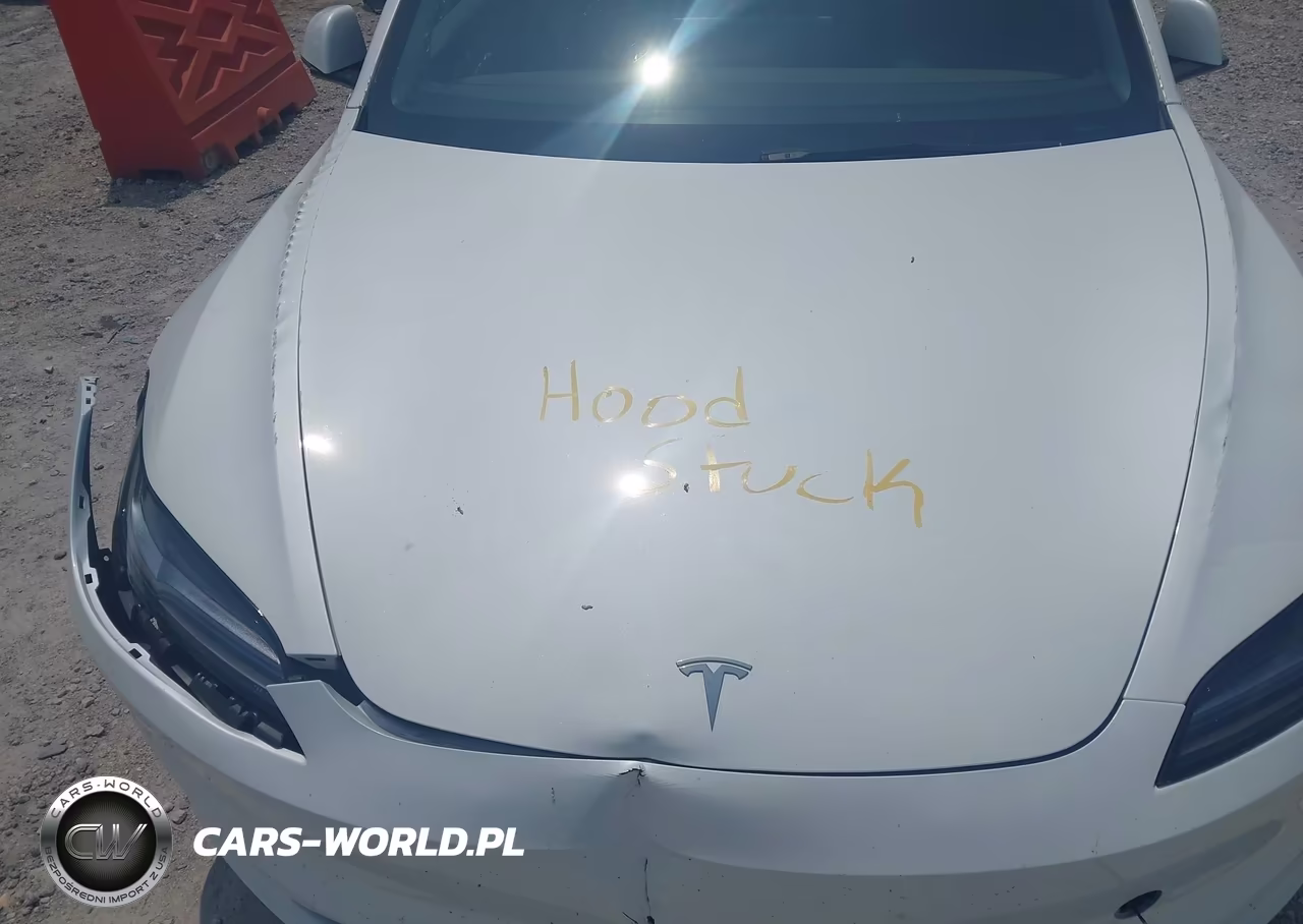 2025 Tesla Model 3 Long Range Rear-Wheel Drive-Standard Rear-Wheel Drive VIN:5YJ3E1EA6SF890000 - 10