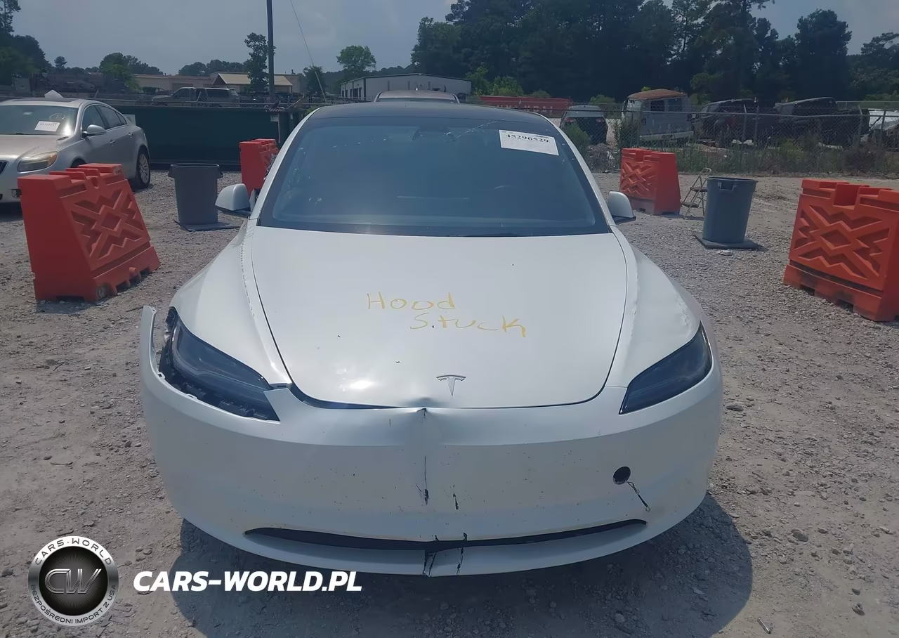 2025 Tesla Model 3 Long Range Rear-Wheel Drive-Standard Rear-Wheel Drive VIN:5YJ3E1EA6SF890000 - 12