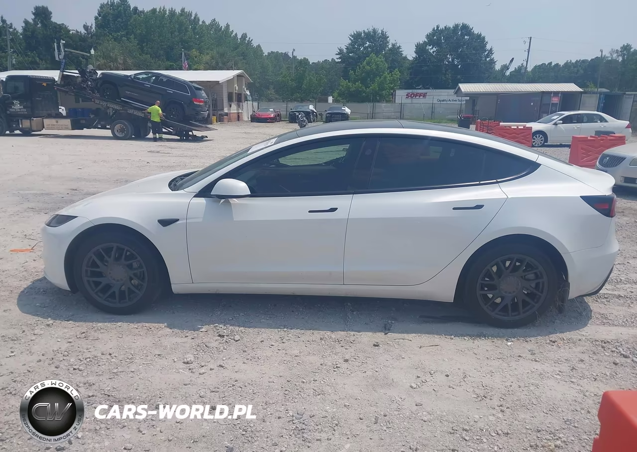 2025 Tesla Model 3 Long Range Rear-Wheel Drive-Standard Rear-Wheel Drive VIN:5YJ3E1EA6SF890000 - 14