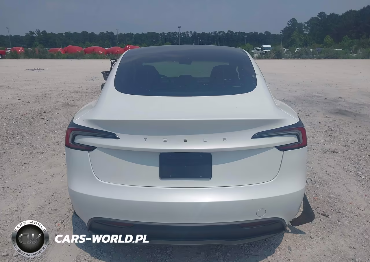 2025 Tesla Model 3 Long Range Rear-Wheel Drive-Standard Rear-Wheel Drive VIN:5YJ3E1EA6SF890000 - 16