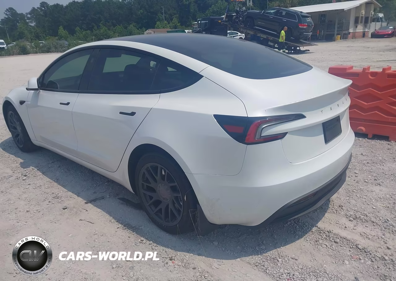 2025 Tesla Model 3 Long Range Rear-Wheel Drive-Standard Rear-Wheel Drive VIN:5YJ3E1EA6SF890000 - 3