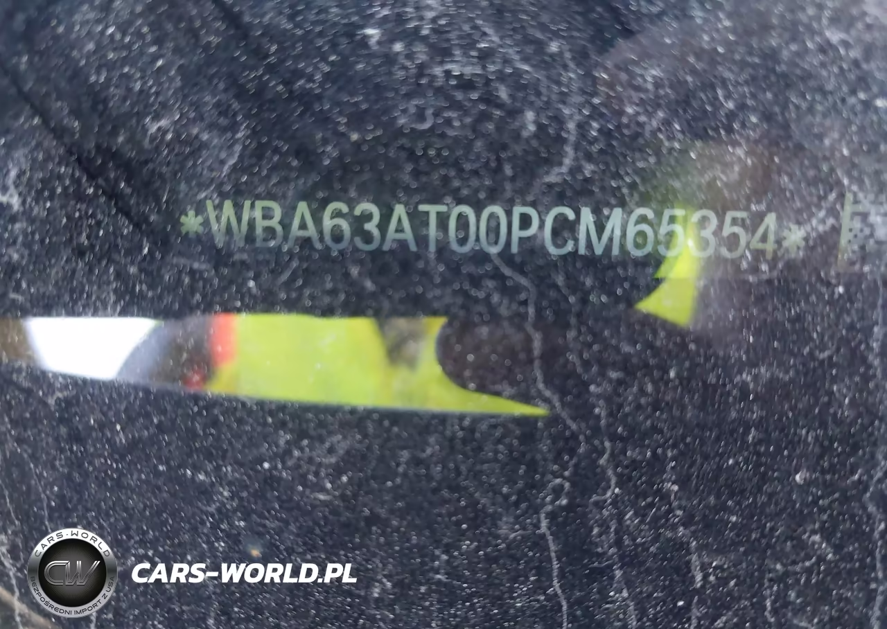 2023 BMW M440I xDrive VIN:WBA63AT00PCM65354 - 17