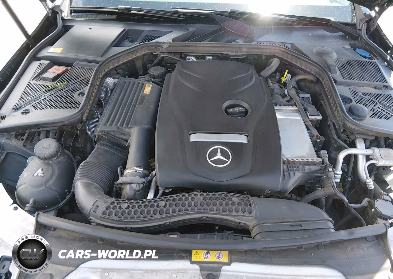 2015 Mercedes-Benz C 300 Luxury 4Matic VIN:55SWF4KB9FU082785 - 10