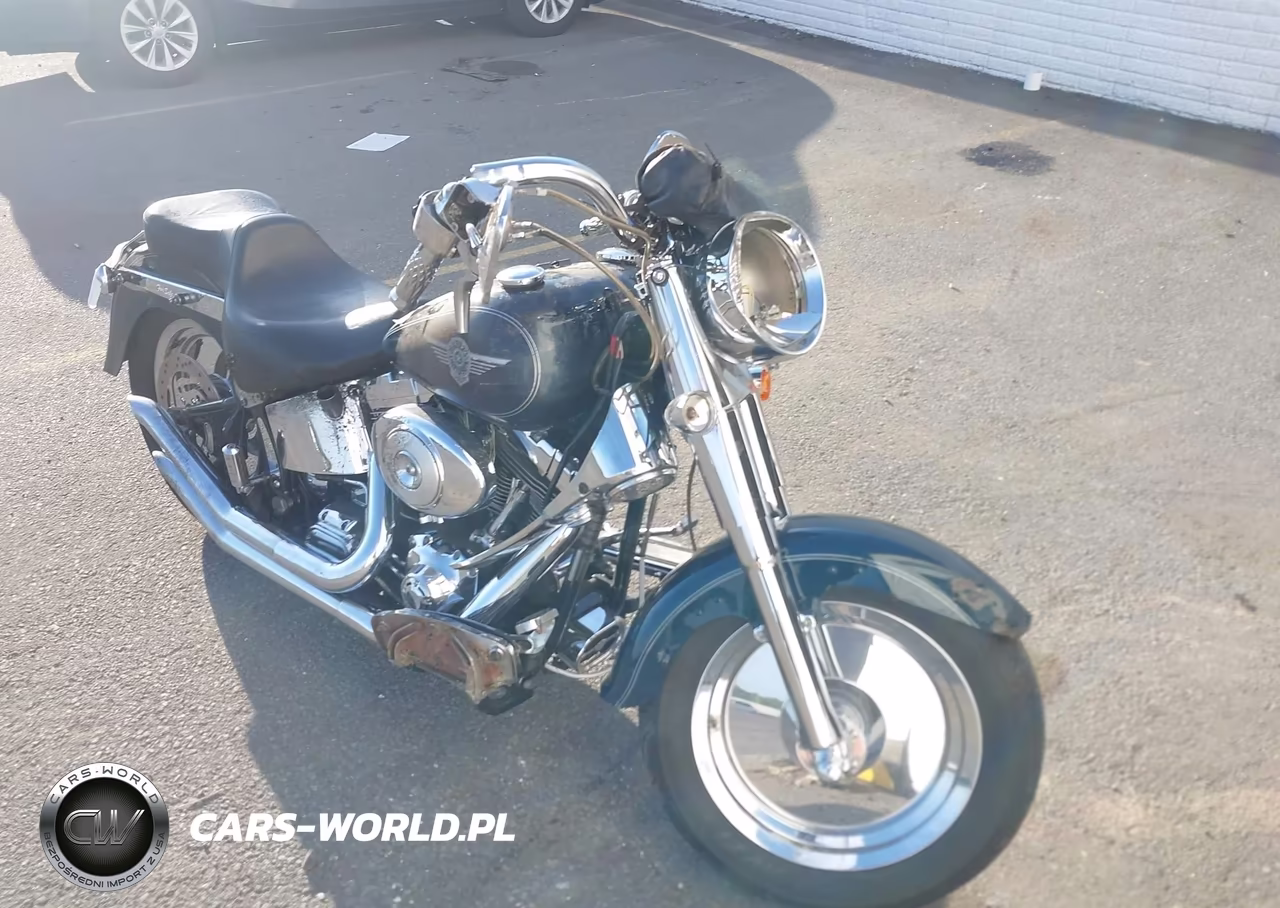 2001 Harley-Davidson Flstf