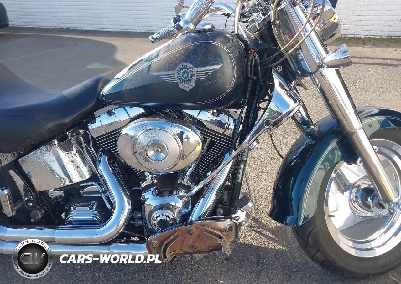 2001 Harley-Davidson Flstf VIN:1HD1BMY151Y060392 - 8