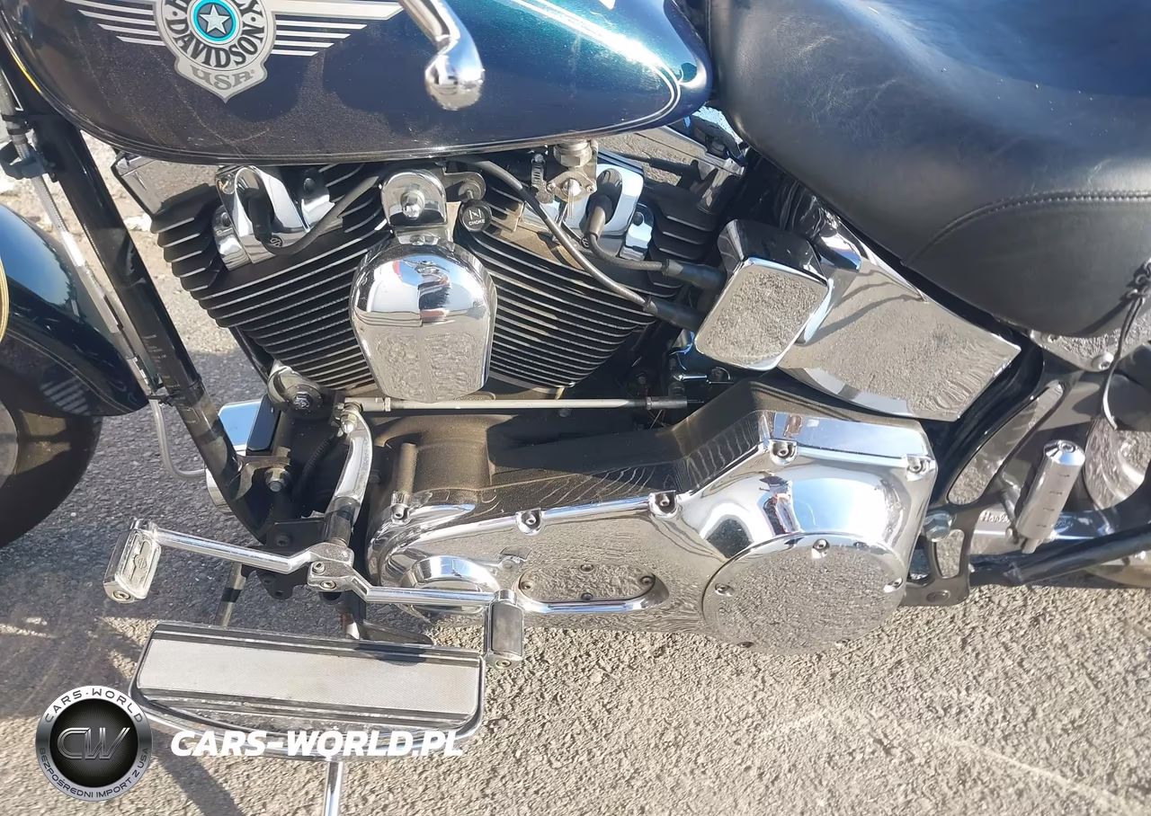 2001 Harley-Davidson Flstf VIN:1HD1BMY151Y060392 - 9