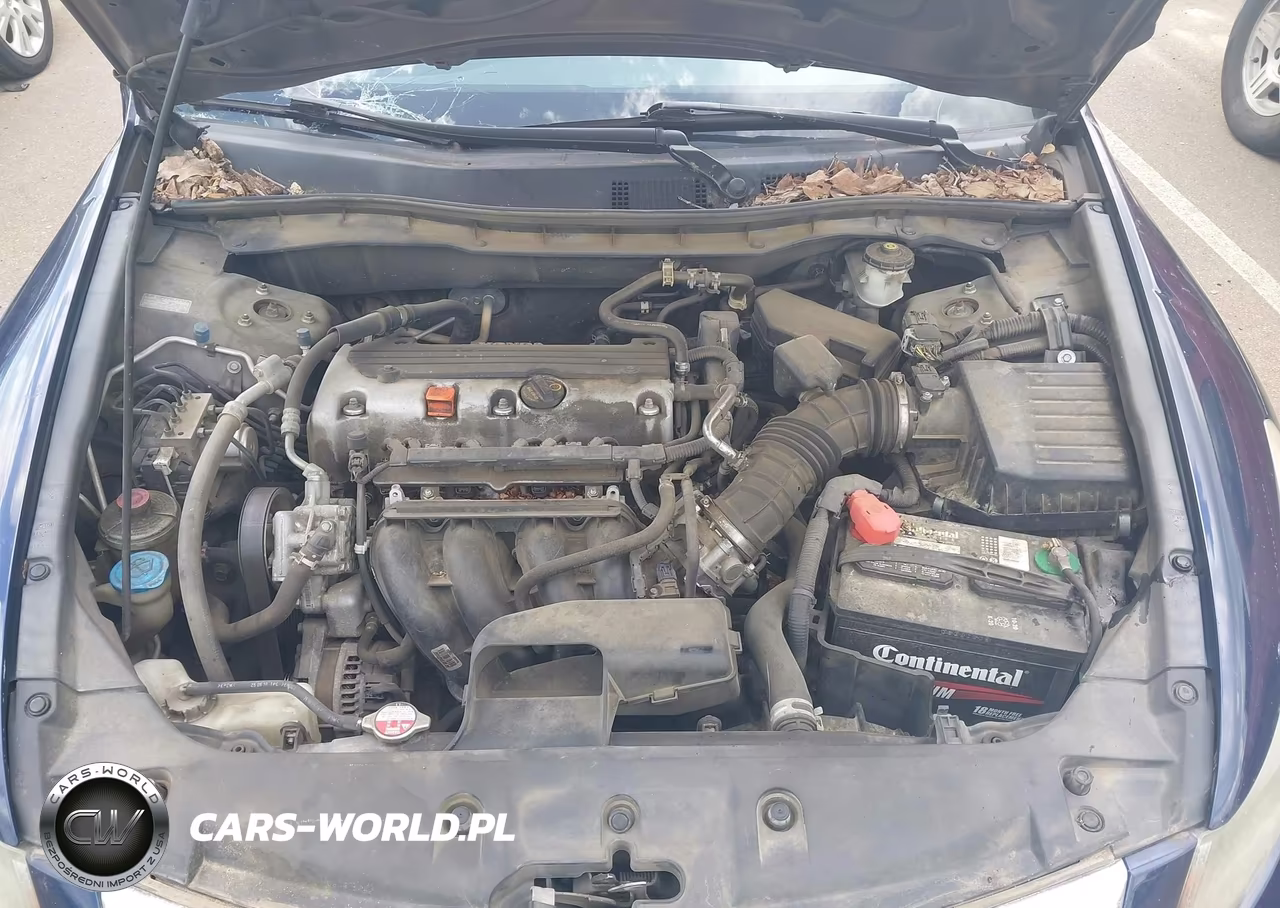 2011 Honda Accord 2.4 Lx VIN:1HGCP2F37BA069580 - 10