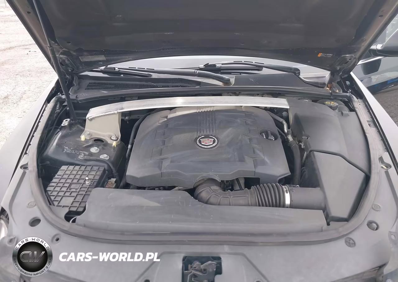 2012 Cadillac Cts Performance VIN:1G6DJ1E37C0139119 - 10