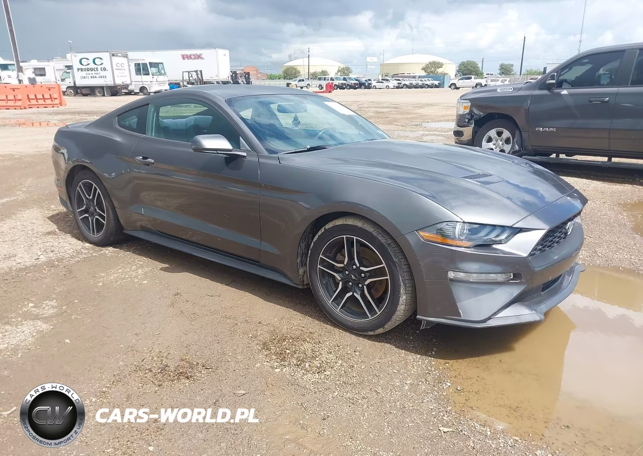2019 Ford Mustang Ecoboost – zdjęcie 1 z 12