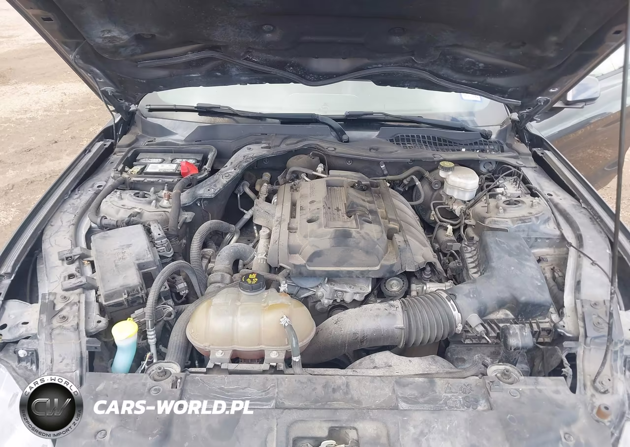 2019 Ford Mustang Ecoboost VIN:1FA6P8TH0K5192974 - 10