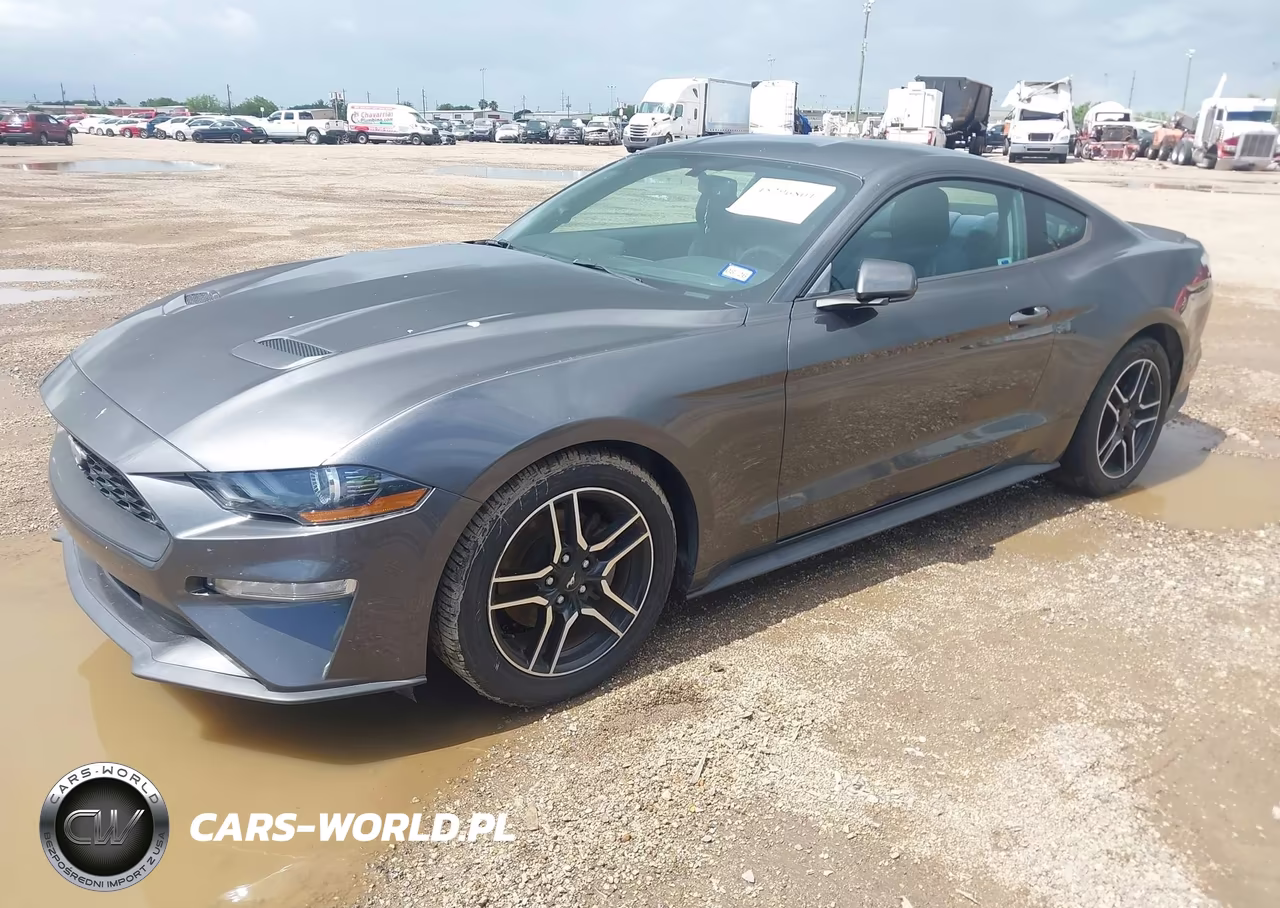 2019 Ford Mustang Ecoboost VIN:1FA6P8TH0K5192974 - 2