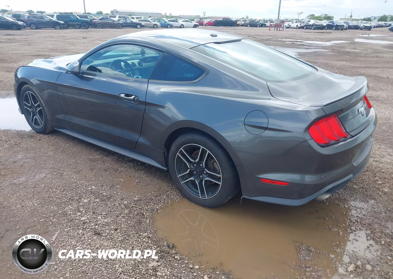 2019 Ford Mustang Ecoboost VIN:1FA6P8TH0K5192974 - 3