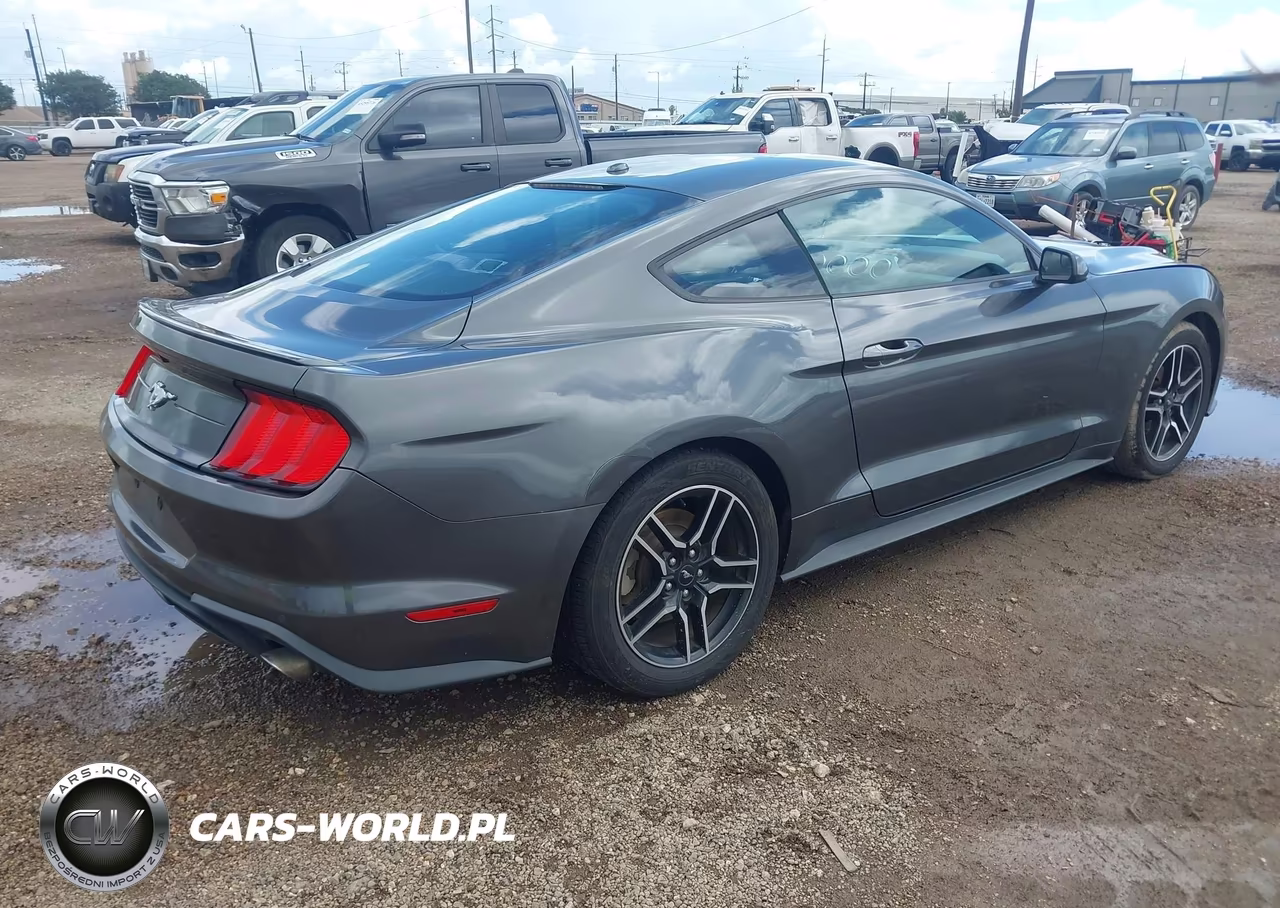 2019 Ford Mustang Ecoboost VIN:1FA6P8TH0K5192974 - 4