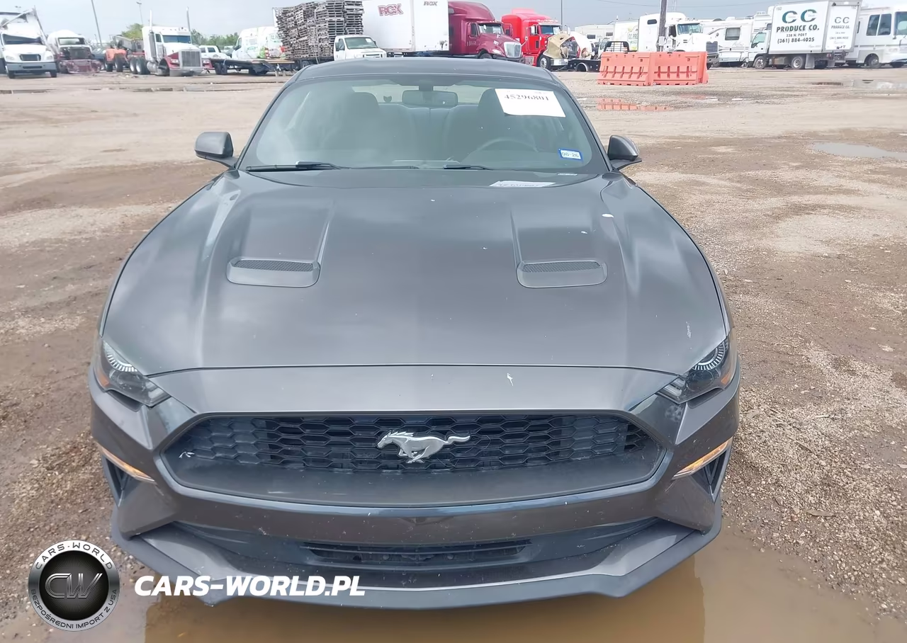 2019 Ford Mustang Ecoboost VIN:1FA6P8TH0K5192974 - 6