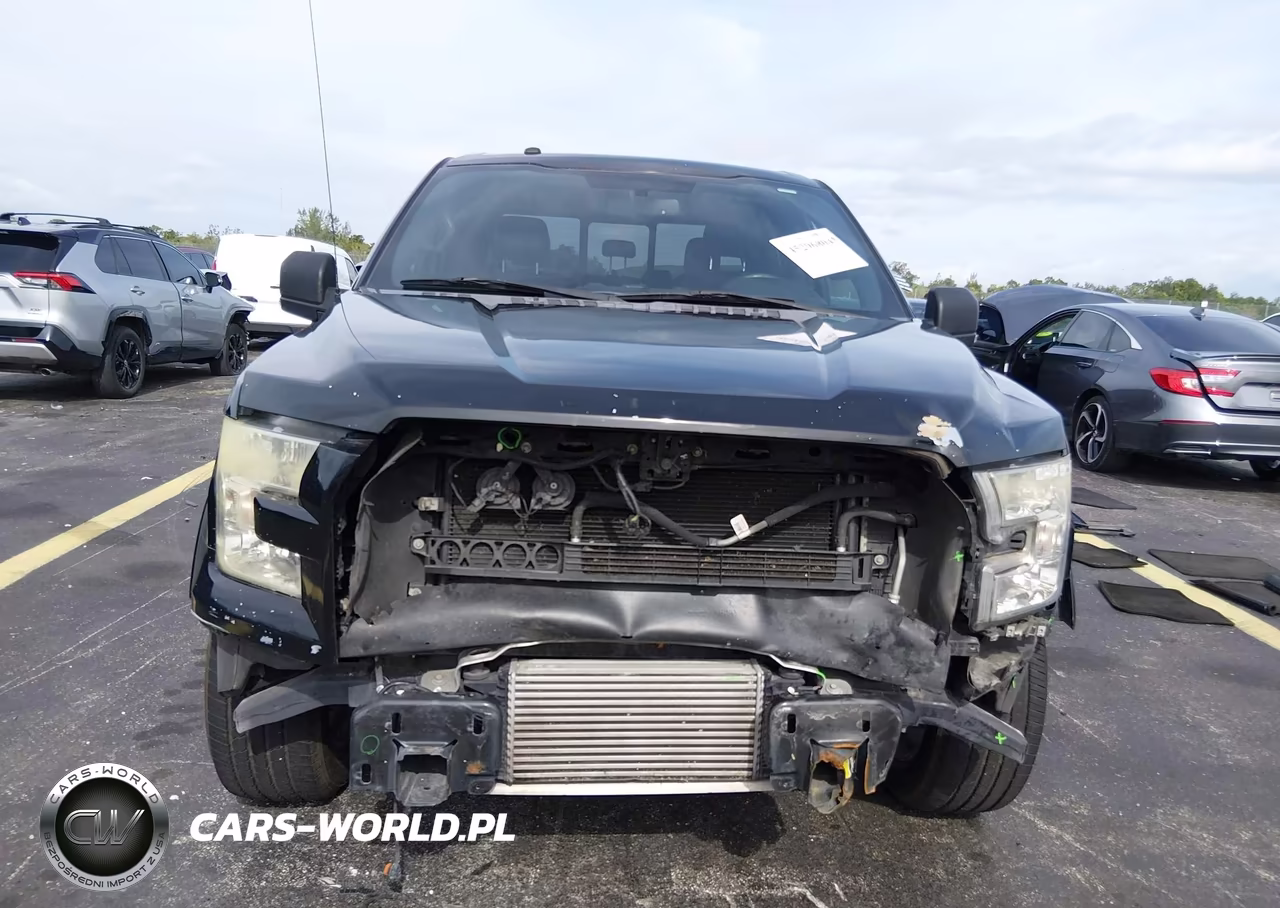 2016 Ford F-150 Xlt VIN:1FTEW1CPXGKD62046 - 13