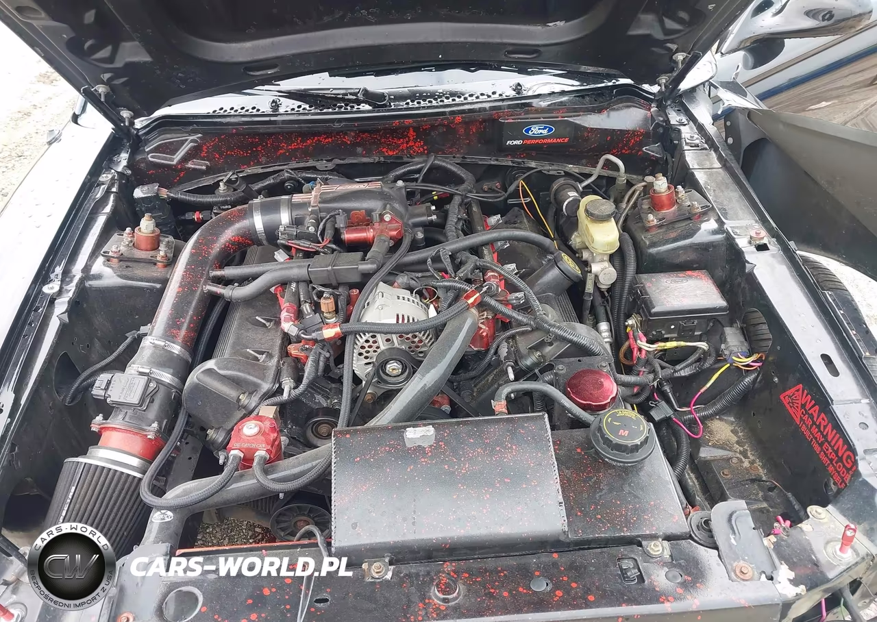 1998 Ford Mustang VIN:1FAFP4046WF102236 - 10