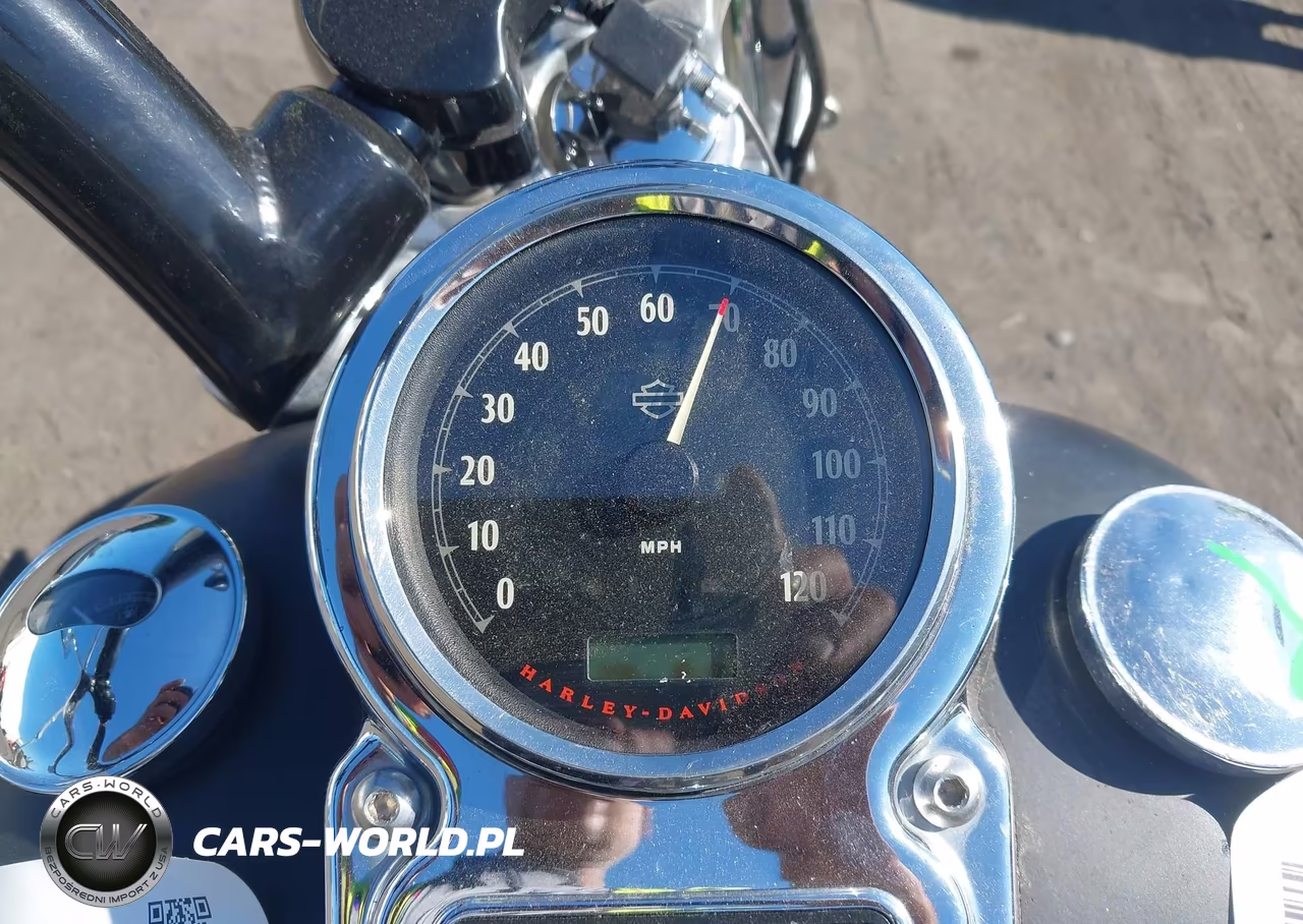 2012 Harley-Davidson Fxdf Dyna Fat Bob VIN:1HD1GYM10CC331616 - 7