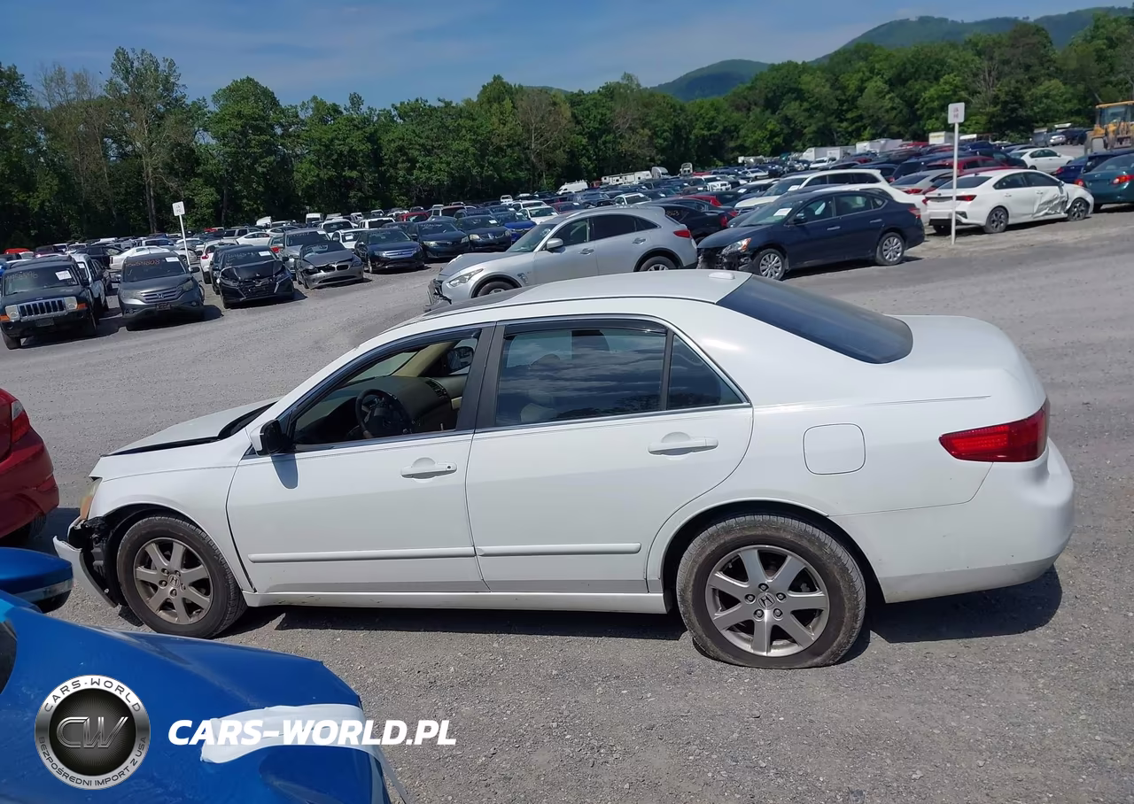 2005 Honda Accord 3.0 Ex VIN:1HGCM66555A028712 - 15