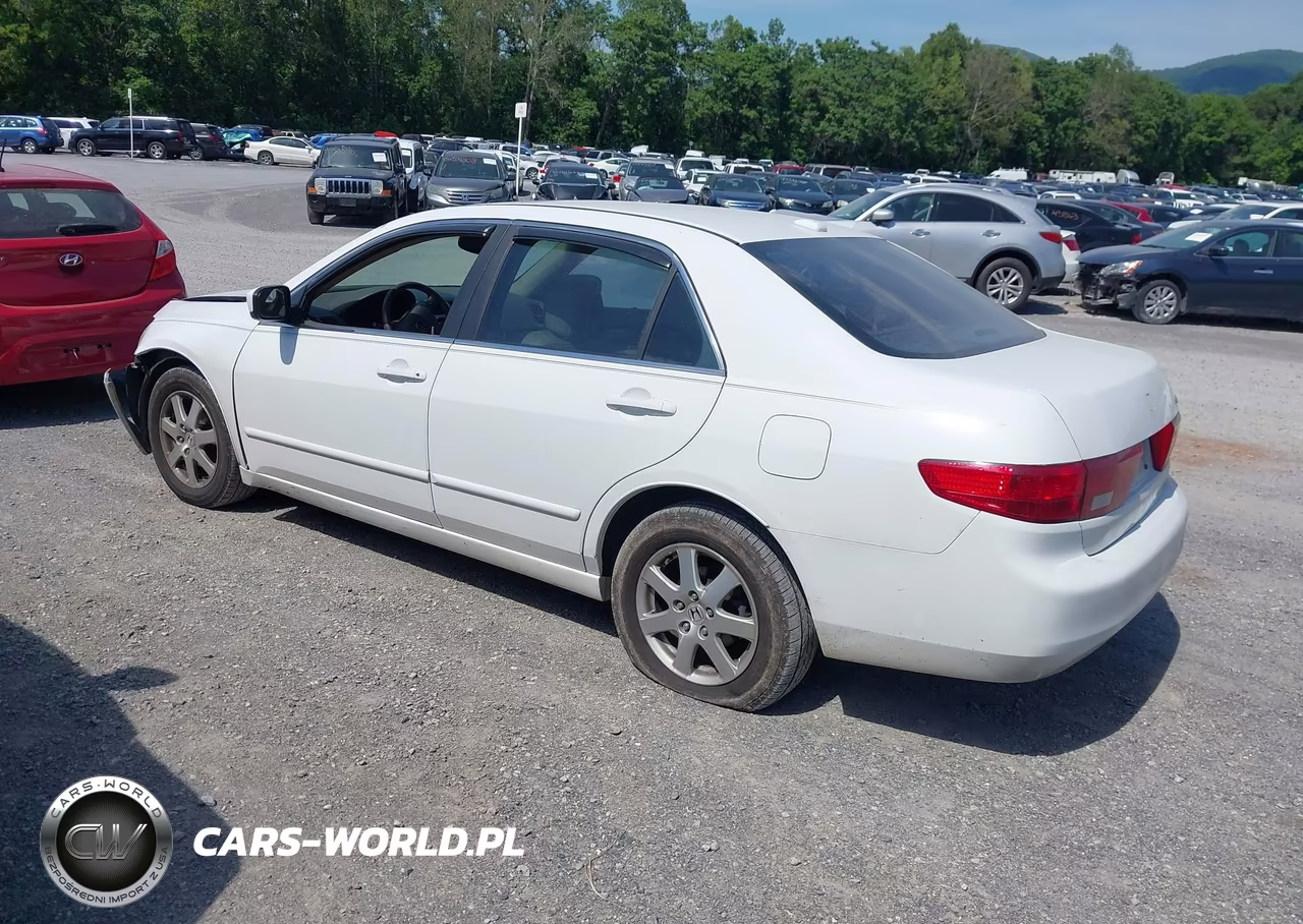 2005 Honda Accord 3.0 Ex VIN:1HGCM66555A028712 - 3