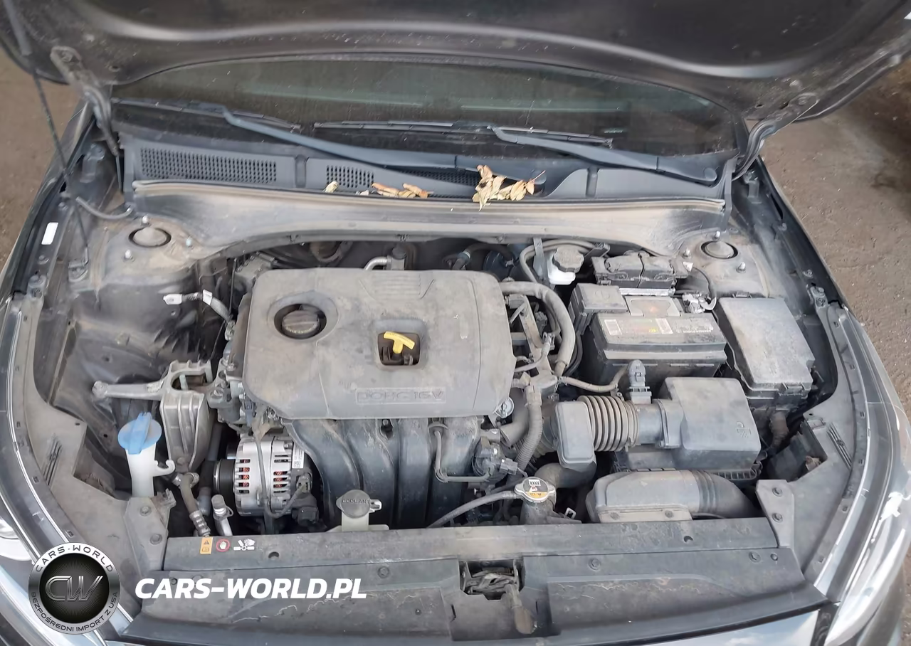 2021 Kia Forte Fe VIN:3KPF24AD3ME320178 - 10
