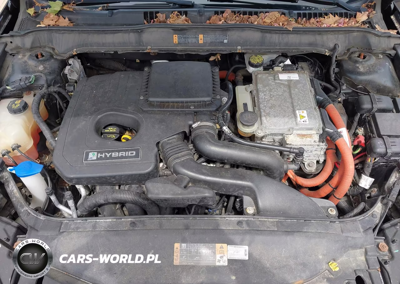 2014 Ford Fusion Se Hybrid VIN:3FA6P0LU7ER132819 - 10