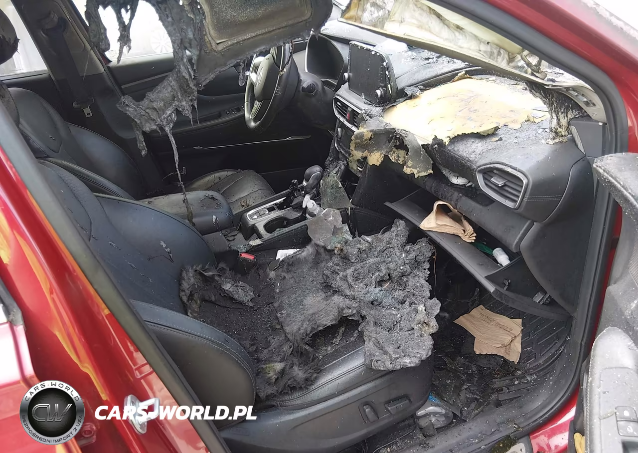 2019 Hyundai Santa Fe Ultimate 2.0T VIN:5NMS5CAAXKH118689 - 5