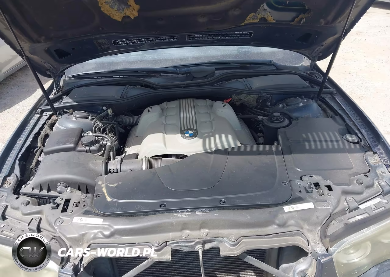 2004 BMW 745Li VIN:WBAGN63544DS52176 - 10