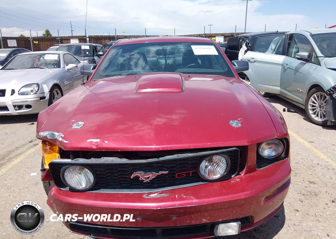 2007 Ford Mustang Gt Deluxe-Gt Premium VIN:1ZVHT82H275357993 - 13