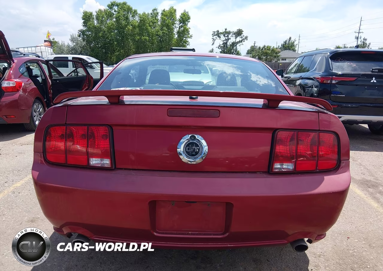 2007 Ford Mustang Gt Deluxe-Gt Premium VIN:1ZVHT82H275357993 - 17