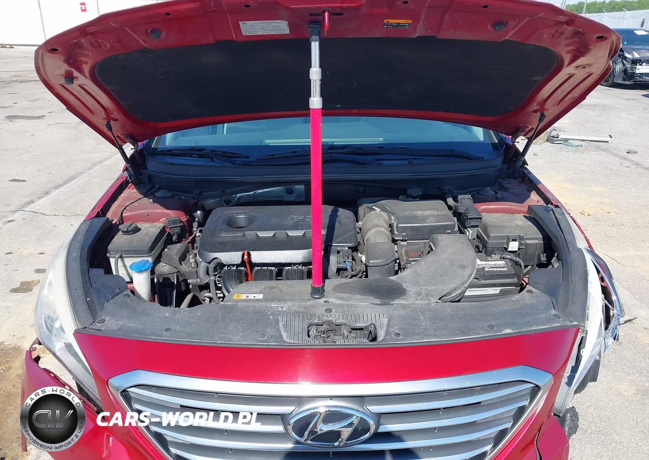 2016 Hyundai Sonata Se VIN:5NPE24AF4GH371959 - 10