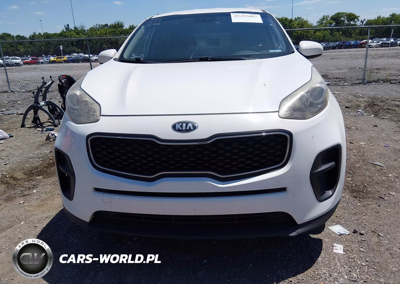 2019 Kia Sportage Lx VIN:KNDPM3AC6K7543697 - 12
