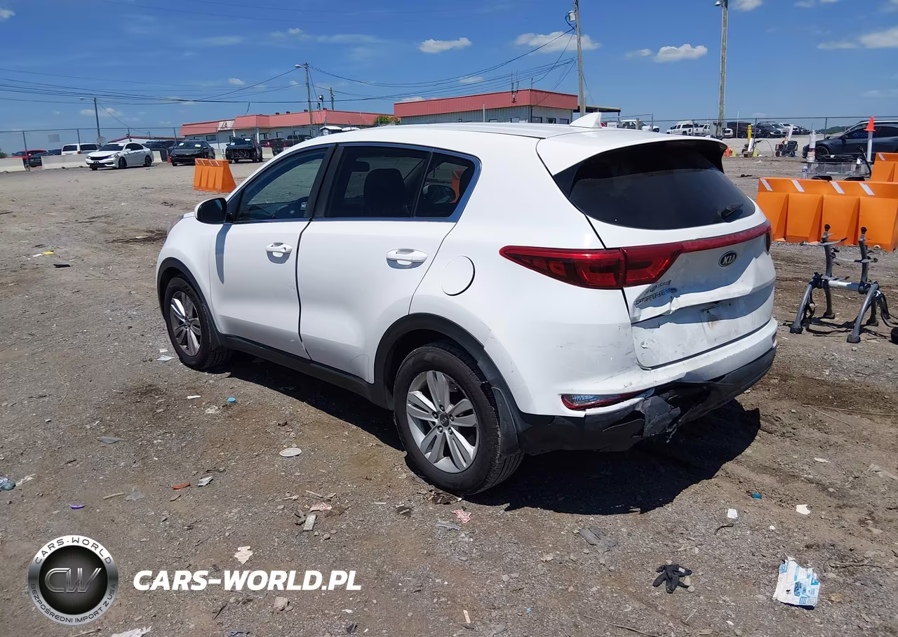 2019 Kia Sportage Lx VIN:KNDPM3AC6K7543697 - 3