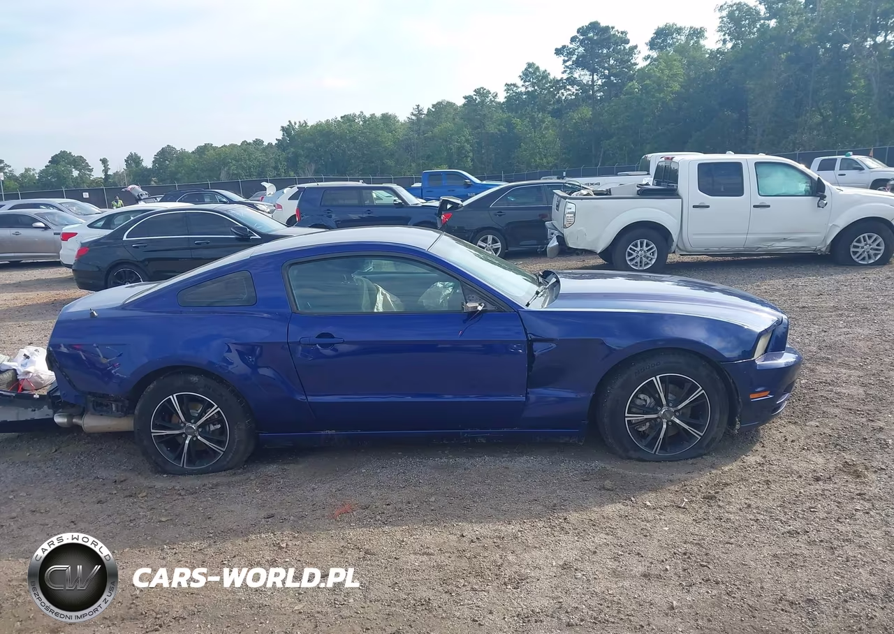 2014 Ford Mustang V6 VIN:1ZVBP8AM5E5332821 - 13