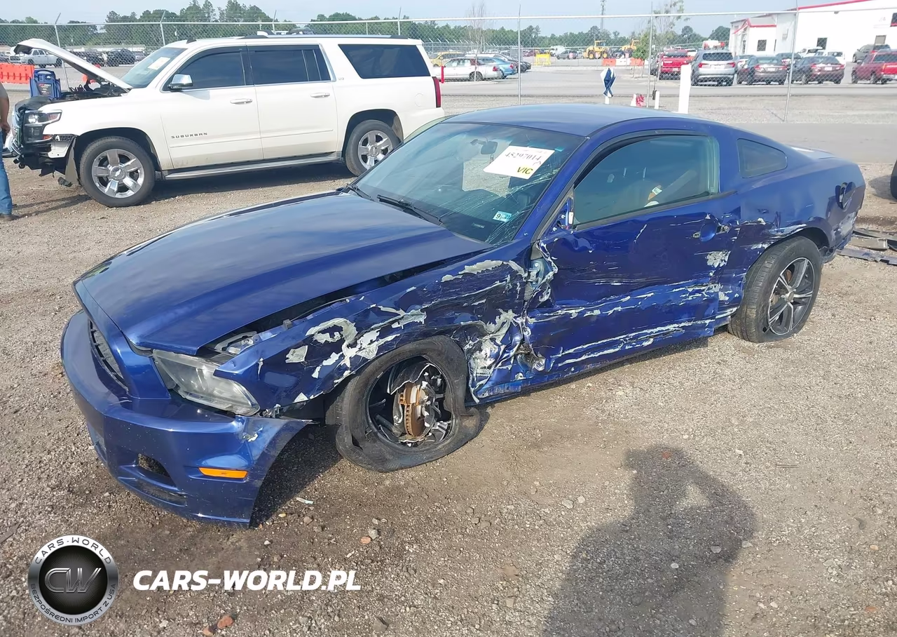 2014 Ford Mustang V6 VIN:1ZVBP8AM5E5332821 - 2