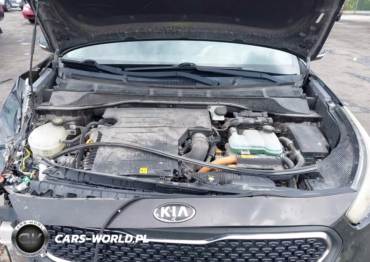 2017 Kia Niro Ex VIN:KNDCC3LC1H5069791 - 10