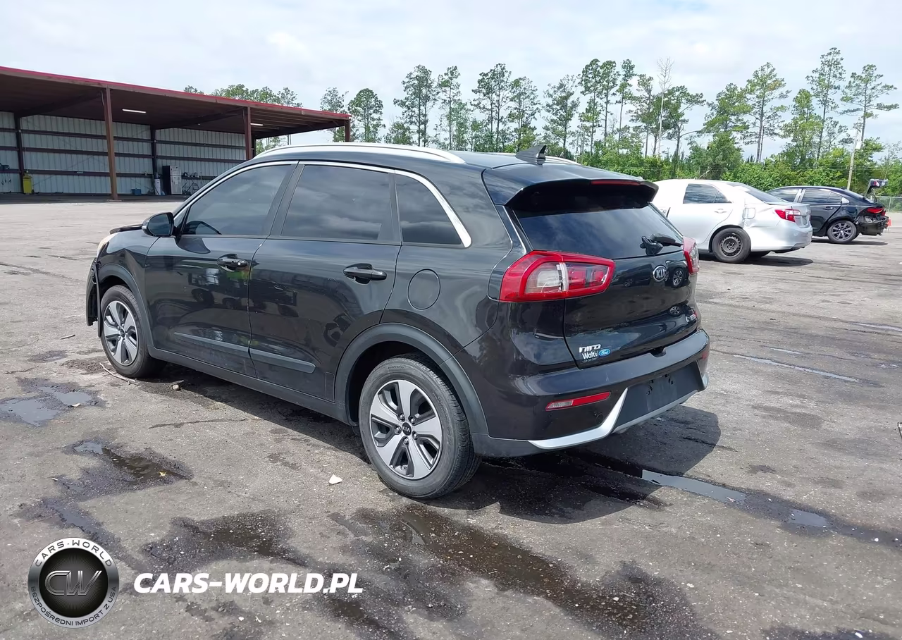 2017 Kia Niro Ex VIN:KNDCC3LC1H5069791 - 3
