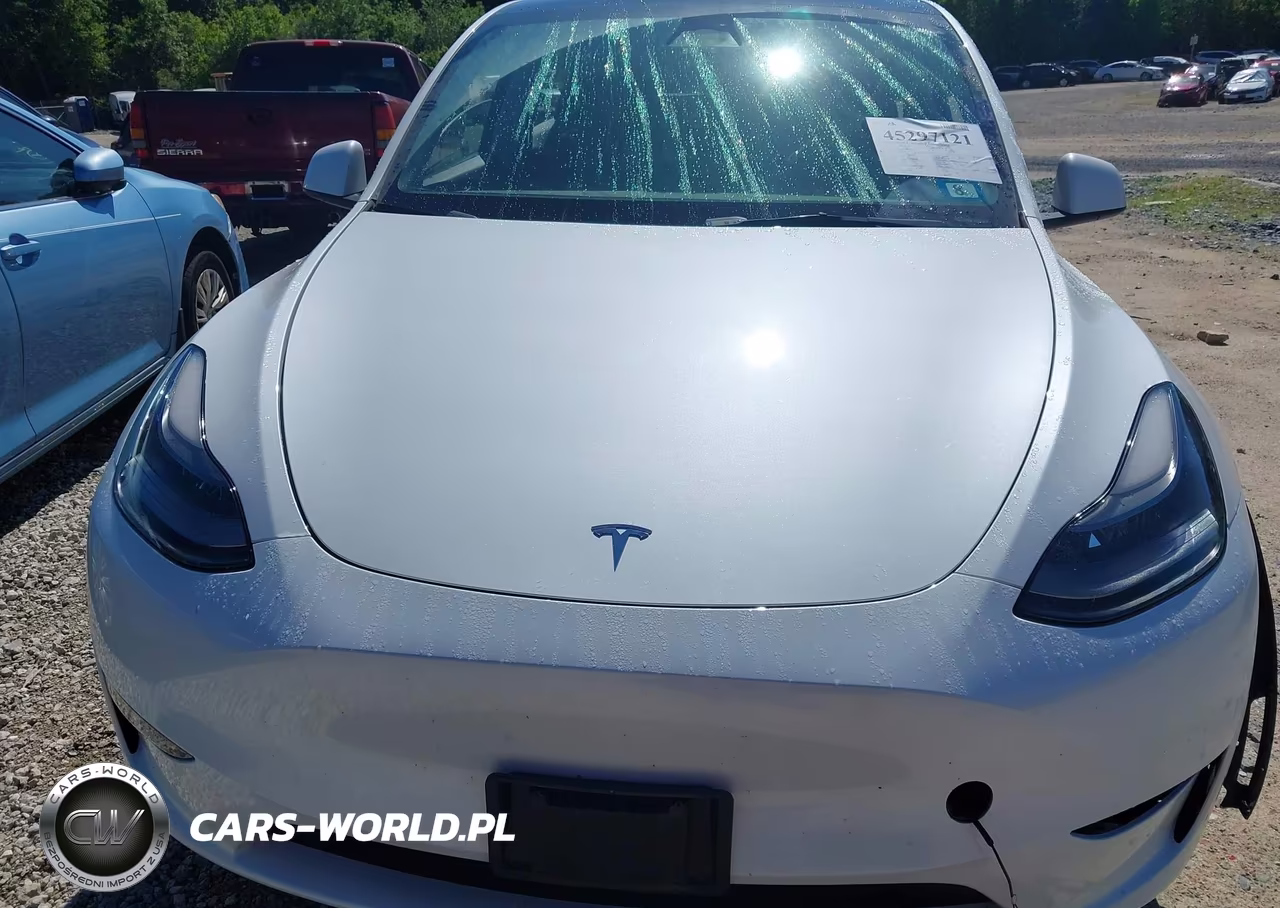2023 Tesla Model Y Awd-Long Range Dual Motor All-Wheel Drive VIN:7SAYGDEE0PF698621 - 10