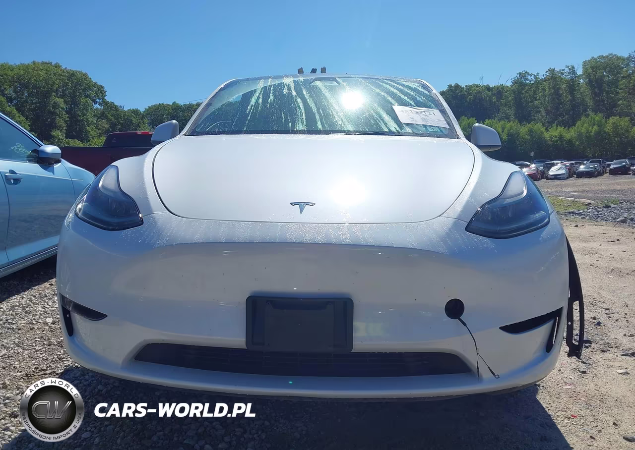 2023 Tesla Model Y Awd-Long Range Dual Motor All-Wheel Drive VIN:7SAYGDEE0PF698621 - 13